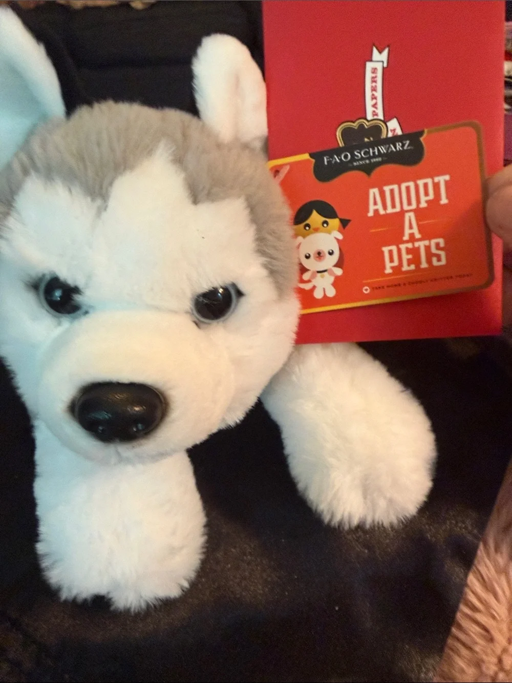 FAO Schwarz Gray & White Husky Plush - Adopt A Pets Tag